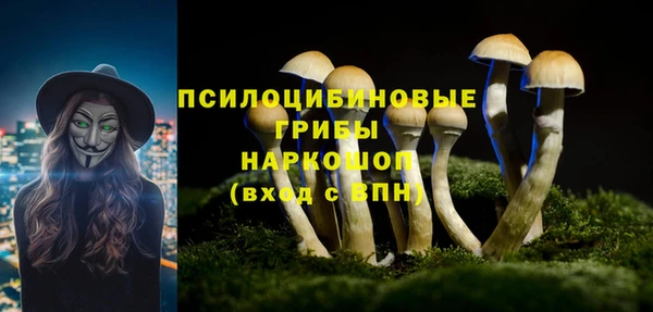 гашик Алексеевка