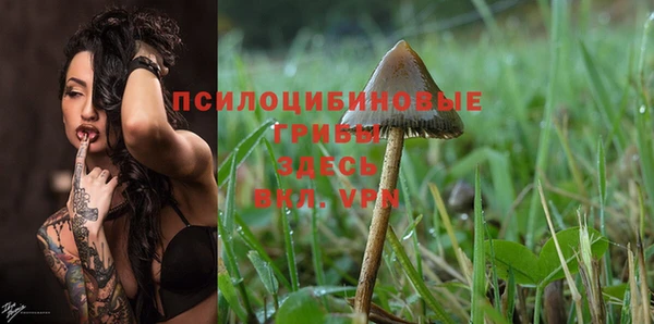 mix Алексин