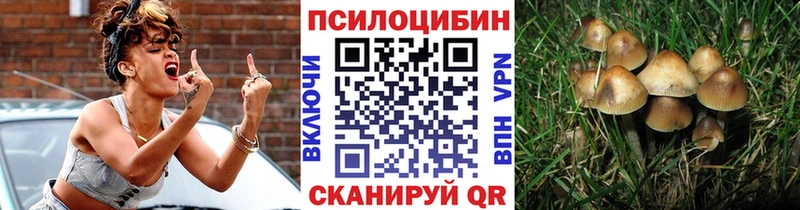 shop телеграм  Духовщина  Псилоцибиновые грибы Cubensis 